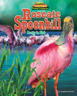 roseate spoonbill book cover image