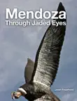 Mendoza Through Jaded Eyes synopsis, comments