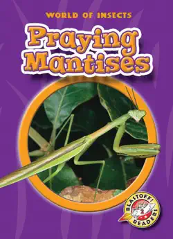 praying mantises book cover image