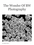 The Wonder Of BW Photography synopsis, comments