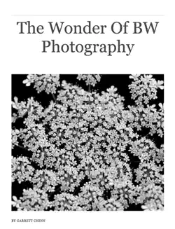 the wonder of bw photography book cover image
