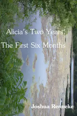 alicia's two years book cover image