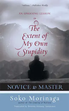 novice to master book cover image