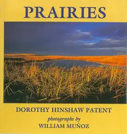 prairies book cover image