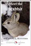 Meet the Rabbit: A 15-Minute Book for Early Readers sinopsis y comentarios