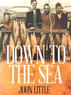 down to the sea imagen de la portada del libro