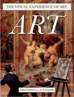 the visual experience of art book cover image