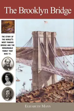 the brooklyn bridge book cover image
