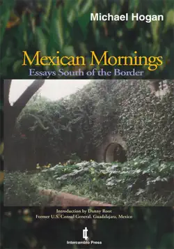 mexican mornings book cover image