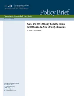 nato and the economy-security nexus: reflections on a new strategic calculus book cover image