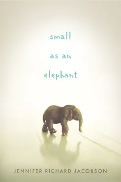 small as an elephant book cover image
