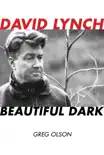 David Lynch synopsis, comments