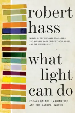 what light can do book cover image