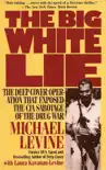 The Big White Lie synopsis, comments