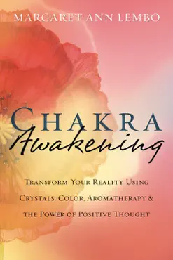 chakra awakening book cover image