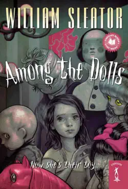 among the dolls book cover image