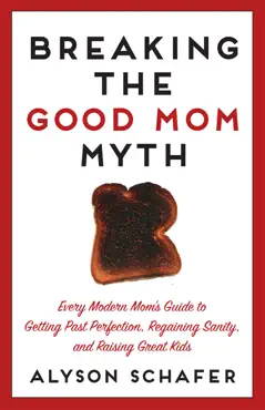 breaking the good mom myth book cover image