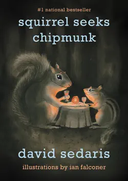 squirrel seeks chipmunk book cover image