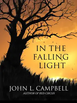 in the falling light book cover image