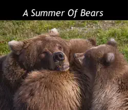 a summer of bears book cover image