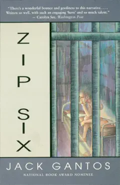 zip six book cover image