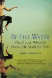 Be Like Water synopsis, comments