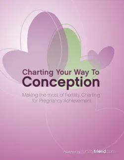 charting your way to conception book cover image