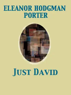 just david book cover image