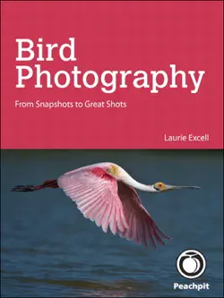 bird photography book cover image
