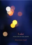 Luke synopsis, comments
