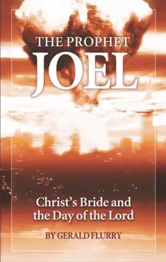 the prophet joel book cover image