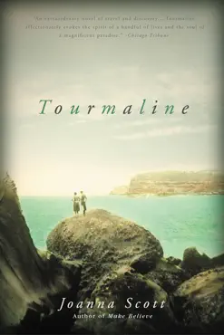 tourmaline book cover image