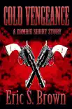 Cold Vengeance synopsis, comments