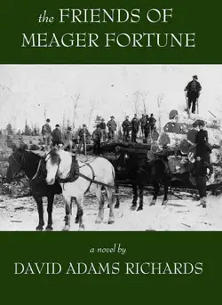 the friends of meager fortune book cover image