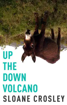 up the down volcano book cover image