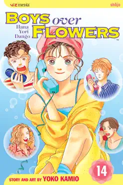 boys over flowers, vol. 14 book cover image