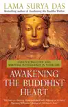 Awakening The Buddhist Heart sinopsis y comentarios