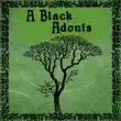 A Black Adonis sinopsis y comentarios