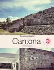Cantona sinopsis y comentarios