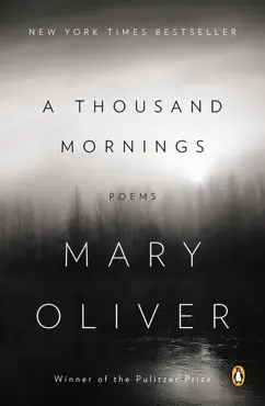 a thousand mornings book cover image