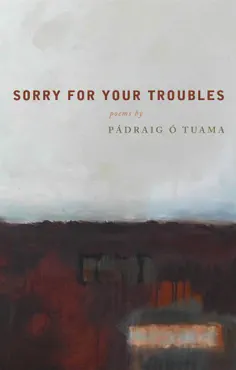 sorry for your troubles book cover image