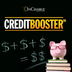 credit booster book cover image