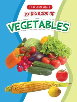 my big book of vegetables book cover image