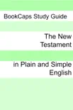 The New Testament In Plain and Simple English synopsis, comments