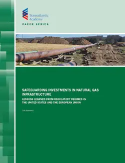 safeguarding investments in natural gas infrastructure book cover image