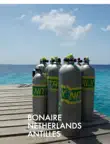 Bonaire synopsis, comments