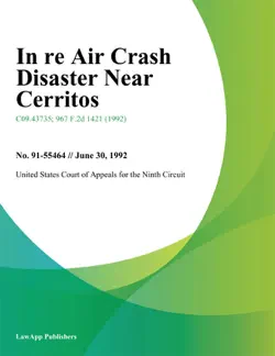 in re air crash disaster near cerritos book cover image