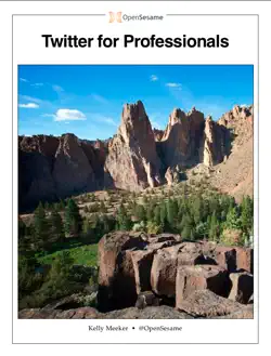 twitter for professionals book cover image