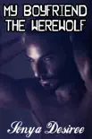 My Boyfriend the Werewolf synopsis, comments