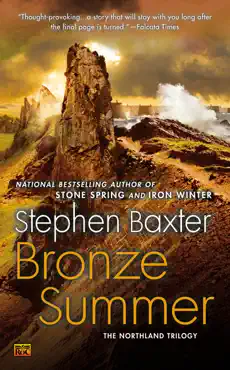 bronze summer book cover image